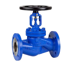 Globe Control Valve